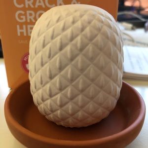 🛑SOLD🛑 Crack & Grow Herb kit - Mint